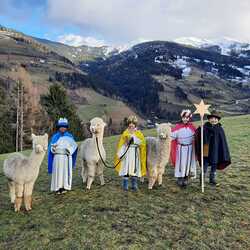 In der Pfarre Donnersbach waren 20 Sternsinger unterwegs