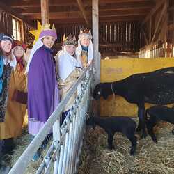 In der Pfarre Liezen waren 40 Sternsinger unterwegs